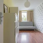 - Brzezno Budzetowy Komfort Blisko Plazy גדנסק